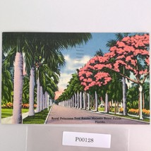 Vintage Florida Linen Postcard Royal Poinciana &amp; Majestic Palm Trees 1944 - $187.41 MXN