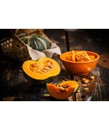 Heirloom Organic Black Forest Kabocha Squash Seeds (Aka Japanese Pumpkin) - $4.95