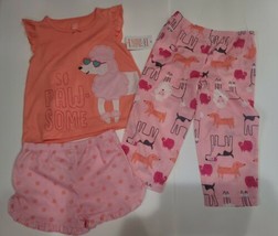 Carter&#39;s Girls Toddler girls SZ 3T 3 Piece Poodle Dog Animal Pajama Set PJs (P) - £7.87 GBP