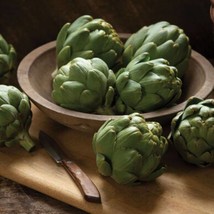 New Fresh Seeds 10 Organic Tavor Artichoke Seeds Grown And Harvested In Fast Shi - £13.79 GBP