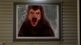 Werewolves  Halloween Projection Scenes on USB Flash - $29.00