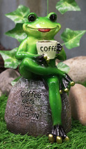 Ebros Lipstick Lady Toad Frog Drinking Coffee Mug While Sitting On Rock ... - £15.69 GBP