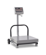 FS500/1000 Digital Receiving Scale, Rechargeable Battery, Robust Steel C... - $10,193.76 MXN