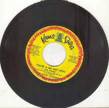 The Lovin Spoonful 45 rpm &quot;You&#39;re A Big Boy Now&quot; - $2.99