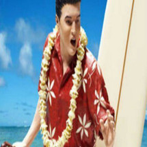 Elvis Presley 1961 Blue Hawaii McFarlane Action Figure Guitar Surfboard ... - £79.48 GBP