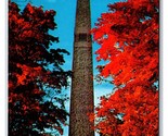 Battlefield Monumento Torre Autunno Bennington Vermont VT Unp Cromo Post... - $4.04