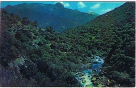 California Postcard Keweah River &amp; Morro Rock Sequoia National Park - $3.45