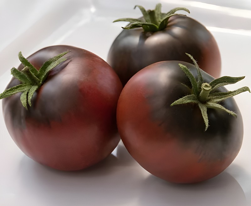 HT 80 Heirloom Purple Cherokee Tomato Seeds Non Gmo Indeterminate Garden Seeds - $14.12