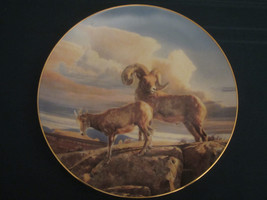 Collector Plate Desert Bighorn Nancy Glazier Proud Sentinels Of American West - £20.74 GBP