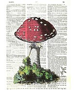 Art N Wordz Red Mushroom Original Dictionary Sheet Pop Art Wall or Desk ... - €21,30 EUR