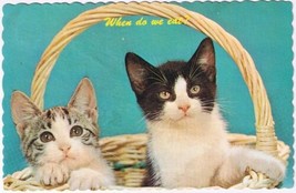 Postcard Cute Two Kittens In Basket When Do We Eat Long Point Beach Fort Erie ON - £2.36 GBP