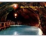 Shoshone Ice Caves Interior Shoshone Idaho ID UNP Chrome Postcard V22 - $2.92