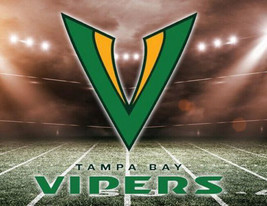 XFL Football Tampa Bay Vipers Mens Embroidered Polo XS-6X, LT-4XLT New - $25.07+