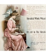 1905 Shredded Wheat Niagara Falls NY Advertisement Lithograph School Art... - €42,71 EUR