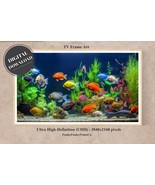 Samsung FRAME TV Art - Colorful Aquarium full of Fish, 4K | Digital Down... - £2.75 GBP