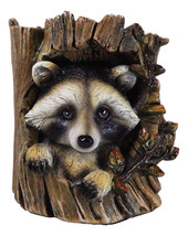 Rustic Western Lifelike Gray Raccoon Hiding In Tree Trunk Decorative Fig... - $28.99