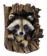 Rustic Western Lifelike Gray Raccoon Hiding In Tree Trunk Decorative Fig... - $551.90 MXN
