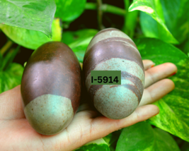 3.75&quot;3.5&quot;Shiva Lingam (Lingam) stone egg from  India Excellent &amp; Pious ~I-5914 - $64.35