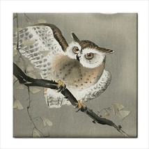 Owl On Ginko Branch Ohara Koson Japanese Art Backsplash Border Ceramic Tile - £12.14 GBP