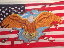 Riverridge Quality Beach Towels Eagle/American Flag 30"X60" New - $18.80