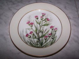 1876-1881 CFH Charles Field Haviland Decorative Desert Dish Plate (Thistle) 7.5W - £11.97 GBP
