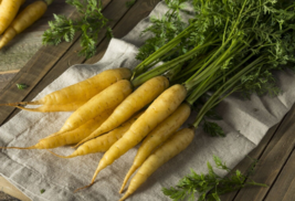 100 Pc Seeds Solar Yellow Carrot Vegetable Plant, Carrot Seeds for Planting | RK - £14.86 GBP