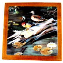 Duck Coasters in Wooden Box Set of Six Barware - $16.82