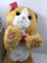 Hasbro FurReal Friends Interactive Daisey Kitty Cat Plush Toy Interactive Tested - £20.05 GBP