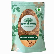 Homalomena Aromatica-Sugandh Mantri-Gandhi Roots-Raw Herbs-Jadi Booti - £15.12 GBP+