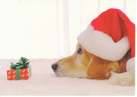 Christmas Card Golden Retriever Dog in Santa Claus Hat Unused with Envelope - £5.45 GBP