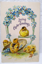 Tucks Easter Greetings Postcard Baby Chicks Forget Me Nots 1908 Series 112 - £5.38 GBP