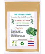 Schefflera leucantha Capsules Joint and Muscle Health 50x500 mg - $9.90