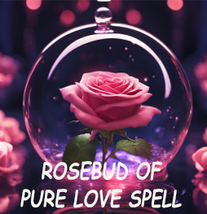 HAUNTED 50X-200X COVEN CAST ROSE BUD OF PURE LOVE HIGHER Magick  image 2