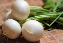 100 Pc Seeds White Globe Radish Vegetable Plant, Radish Seeds for Planting | RK - £14.84 GBP