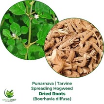 Pure Herbs: Herbal Adjustment - 4 oz. ( Natural Herbal Ectracts) image 3