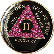 2 Year AA Medallion Black Tri-Plate Pink Fuschia Color Swarovski Crystal Chip II - £16.41 GBP