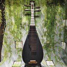 Pipa Chicken wing wood material Professional performance Chinese string ... - $699.00