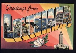 GREETINGS from LOUISIANA * Large LETTER postcard not mailed  - $4.90