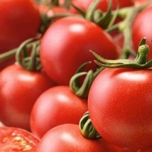 Indian Curry Tomato Seeds Organic Usa Seller Garden - $4.50