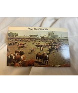 Postcard Huge Iowa Feed Lot, IA thousands of cattle - £4.44 GBP