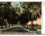 Central Park and Hotel Green Pasadena CA California UNP DB Postcard P16 - $4.90