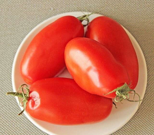 San Marzano Tomato Seeds Heirloom Authentic Italian Variety 4 Sauce Past... - $3.26+