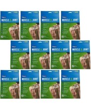 24 Coralite Muscle &amp; Joint Extra Strength Pain Relief Patches, 2-pack - $22.28