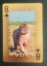 Animal-Themed Golden Foil PVC Mini Playing Card Hippopotamus 8 Clubs - $1.84