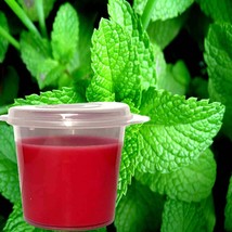 Fresh Peppermint Scented Soy Wax Candle Melts Shot Pots, Vegan, Hand Poured - £12.89 GBP+