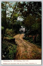 Gettysburg PA 1906 Old Roadway Wolf Hill Udb Civil War Tipton Postcard R24 - £23.14 GBP