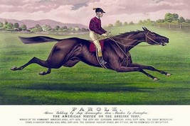 Parole: brown gelding, by Imp. Leamington, dam Maiden by Lexington by Currier &  - $21.99+