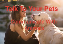 Talk to pets scaled thumb200