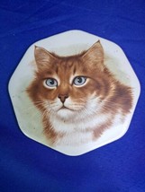 Trivet Plaque Ceramic Wall Hanger Cape Craftsmen Cat Vintage 5 3/4&quot; Rare - £14.68 GBP