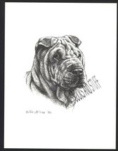 #371 light SHAR PEI  portrait dog art print * Pen and ink drawing * Jan ... - $12.50